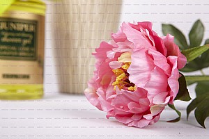 IMG_0507