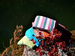 DSC_0970